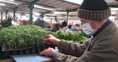 Stire din Economie : Răsadurile, sursă suplimentară de câştig. Cât mai costă şi ce se găseşte în pieţe