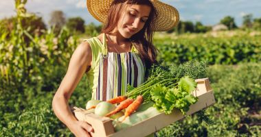 Stire din Economie : Agricultura, dezvoltată prin PNRR. Infrastructura de gestionare a apei şi învăţământul dual, printre priorităţi