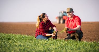 Stire din Economie : Sprijin pentru tinerii fermieri. Se dau mii de euro pentru a porni o afacere în domeniul agricol