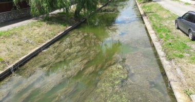 Satul de Vacanţă, uitat de autorităţi. Canalul care leagă cele două lacuri, focar de infecţie - 3