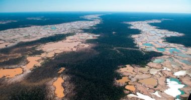 Pădurea amazoniană nu mai este „plămânul” Terrei: emite mai mult dioxid de carbon decât consumă - 2