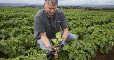 Stire din Economie : Preţurile mari la îngrăşăminte vor falimenta fermierii. Culturile însămânţate vor fi mai mici