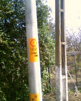 "Mai suferă o săptămână… apoi o să le fie bine la toți!" - 3