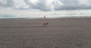 Este sau nu periculoasă intrarea în mare, la Mamaia? „Turiştii trebuie să fie atenţi când intră în apă” - 3