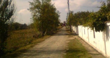 "Mai suferă o săptămână… apoi o să le fie bine la toți!" - 2
