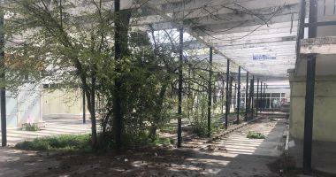 Ruine și buruieni! "Palatul festivalurilor" din Mamaia, un monument al neputinței - 4