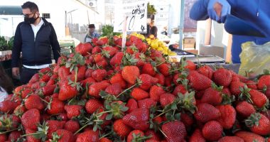 Constănţenii, sfătuiţi să cumpere de la producătorii locali. Dar unde sunt aceştia? - 4