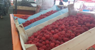 Alternativă de afacere care-ți poate rotunji veniturile: cultura de fructe de pădure - 3