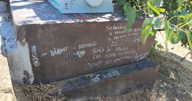 Dezastrul din Parcul Tăbăcărie: de la iarba uscată, la monumente distruse! - 5