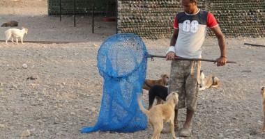 Stire din Politică-Administrație : MAIDANEZII VOR FI EUTANASIAȚI. Iată cum se va desfășura procedura
