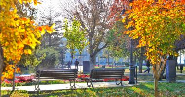Lipsă de interes! Doar trei petice de verdeață au fost adoptate de constănțeni - 2
