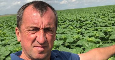 Lipsa apei şi seceta atmosferică pun la pământ munca fermierilor! "Este ca şi cum ai pune cultura la cuptor" - 2