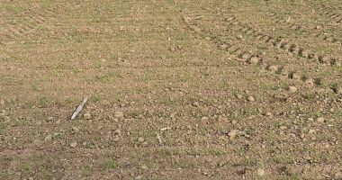 Fermierii nu vor să se mai roage la divinitate pentru ploaie. "În Constanţa, din 500.000 de hectare, doar 5.000 sunt irigate" - 2