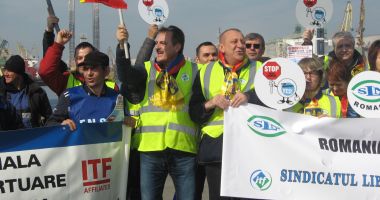 Nu vă bateți joc de lupii de mare! Ajutați-i! - 5