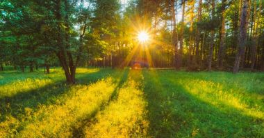 Stire din Actualitate : 2021 a fost al cincilea an cel mai cald înregistrat vreodată