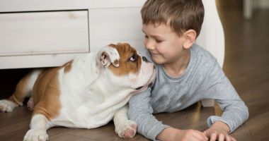 Stire din Sănătate : Pierderea unui animal este o durere imensă pentru copii. Fiţi alături de ei!