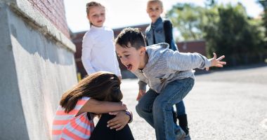 Hărțuitorii fac „show” pe Facebook, iar Ordinul anti-bullying stă în sertar - 2