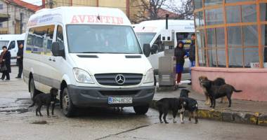 IMAGINILE DEZASTRULUI / Raiul maidanezilor și al oamenilor străzii - 2