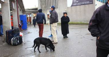 IMAGINILE DEZASTRULUI / Raiul maidanezilor și al oamenilor străzii - 3