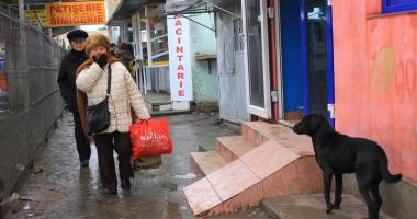 IMAGINILE DEZASTRULUI / Raiul maidanezilor și al oamenilor străzii - 5