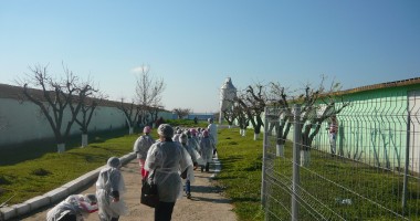 Galerie Foto - În vizită la ferma de găini fericite de la Lumina - 3