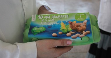 Galerie Foto - În vizită la ferma de găini fericite de la Lumina - 4