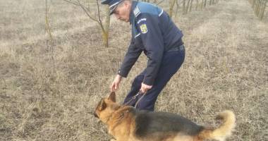 Stire din Eveniment : Băiețel surdo-mut dispărut, găsit cu ajutorul a doi câini-polițiști eroi