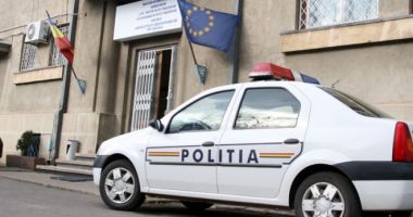 Tineri din județul Constanța, puși pe furat, prinși de oamenii legii!
