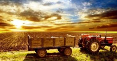 Stire din Economie : Ministerul Agriculturii a primit bani mai mulţi. Dar insuficienţi!