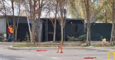 Haite de câini, „de pază” pe plaja Mamaia. „Pun în pericol viaţa trecătorilor!” - 4