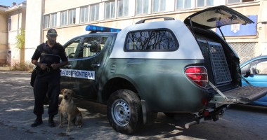 Câinii - polițiști de frontieră, cei mai buni în găsirea drogurilor - 4