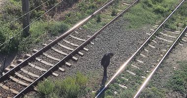 „Bulevard” peste liniile de cale ferată. Nicio sancțiune pentru cei care își pun viața în pericol! - 2