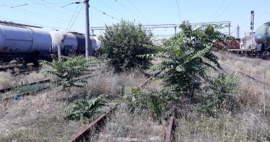 Când vor circula trenurile cu cel puțin 60 de kilometri pe oră în România? Nici măcar ministrul transporturilor nu știe! - 4