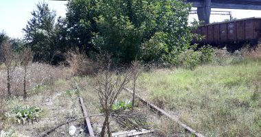 Când vor circula trenurile cu cel puțin 60 de kilometri pe oră în România? Nici măcar ministrul transporturilor nu știe! - 6