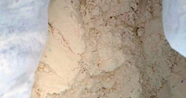 Captură record de droguri: peste trei milioane de comprimate Ecstasy! - 3