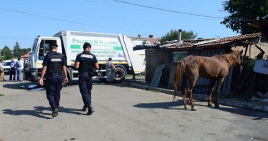 Focar de infecție în cartierul Palas.  Cine și de ce i-o fi adus pe romi acolo… - 9