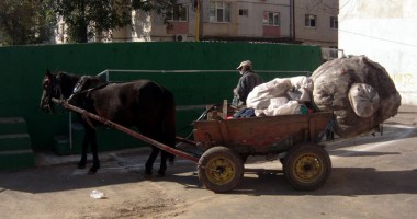 Constanța căruțelor! Cum încearcă polițiștii să oprească armăsarul cu girofarul - Galerie FOTO - 7