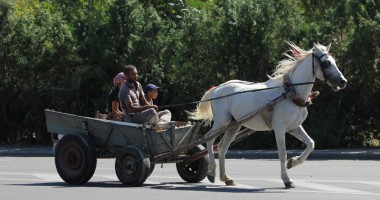 Constanța căruțelor! Cum încearcă polițiștii să oprească armăsarul cu girofarul - Galerie FOTO - 2