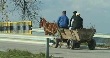 Stire din Eveniment : PERICOL MARE: CURSE ILEGALE DE CĂRUȚE pe drumurile din Constanța!