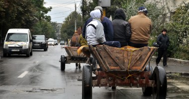 Constanța căruțelor! Cum încearcă polițiștii să oprească armăsarul cu girofarul - Galerie FOTO - 3