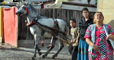 Constanța căruțelor! Cum încearcă polițiștii să oprească armăsarul cu girofarul - Galerie FOTO - 4