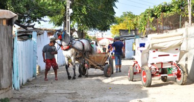 Constanța căruțelor! Cum încearcă polițiștii să oprească armăsarul cu girofarul - Galerie FOTO - 5