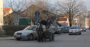 Constanța căruțelor! Cum încearcă polițiștii să oprească armăsarul cu girofarul - Galerie FOTO - 6