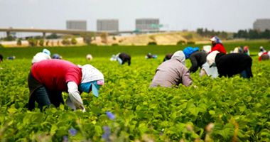 Cât de profitabilă este furnizarea forței de muncă temporare pentru economia națională? - 2