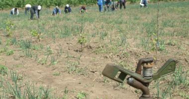 Ce nepăsare! Câte secole îi sunt necesare României să refacă sistemul național de irigații? - 4