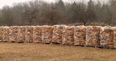 Stire din Actualitate : Cererea de lemne pentru încălzire a explodat în regiunea Alsacia din Franţa