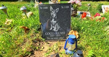 Stire din Social : Pentru unii moft, pentru alții necesitate: „În țară există cimitire pentru animale. În Constanţa când?”