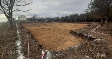 Pădurea Comorova se află în continuare în pericol. "Se va comite un nou masacru ecologic" - 2