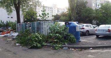 Stire din Social : Constanța frumoasă și turistică! Munți de gunoaie în cartiere, mirosuri pestilențiale în stațiune