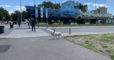 Constanţa turistică! Zona gării, plină de gropi, gunoaie şi maidanezi - 3